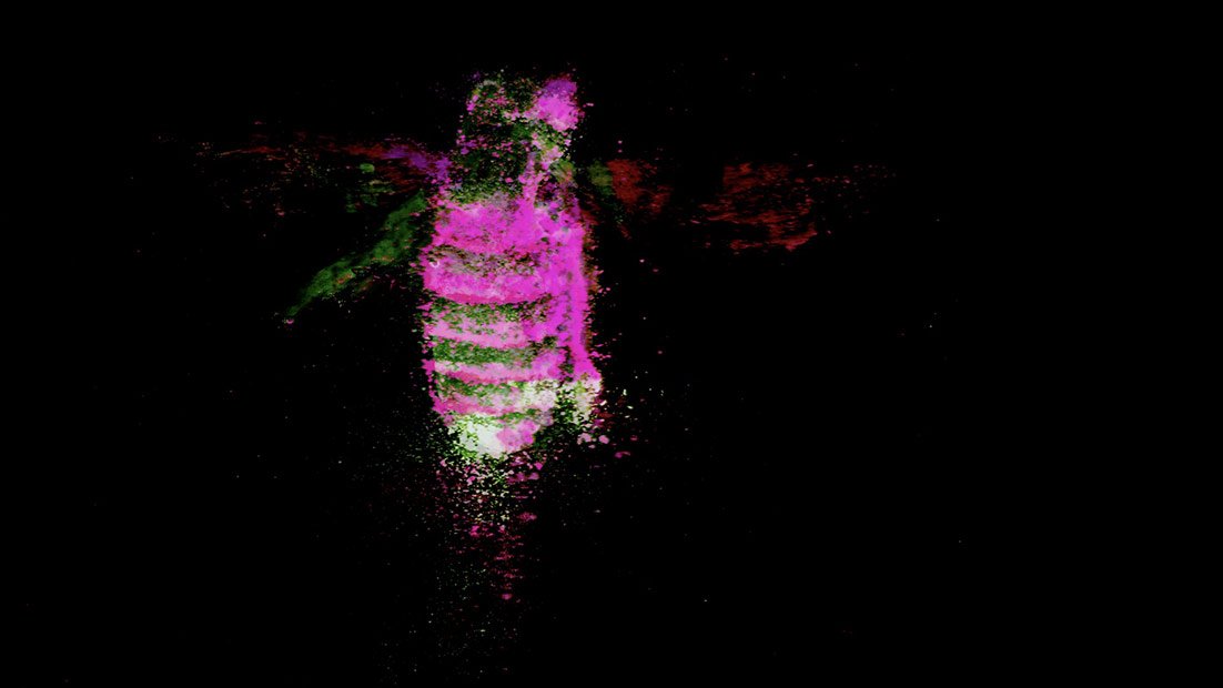 cartoonbrew's tweet photo. Cartoon Brew's Short Pick Of The Day is ‘Attraction’ by @Emily_Scaife 

Watch >> https://t.co/Kmghm1PoJW https://t.co/VHGI2EQQmP