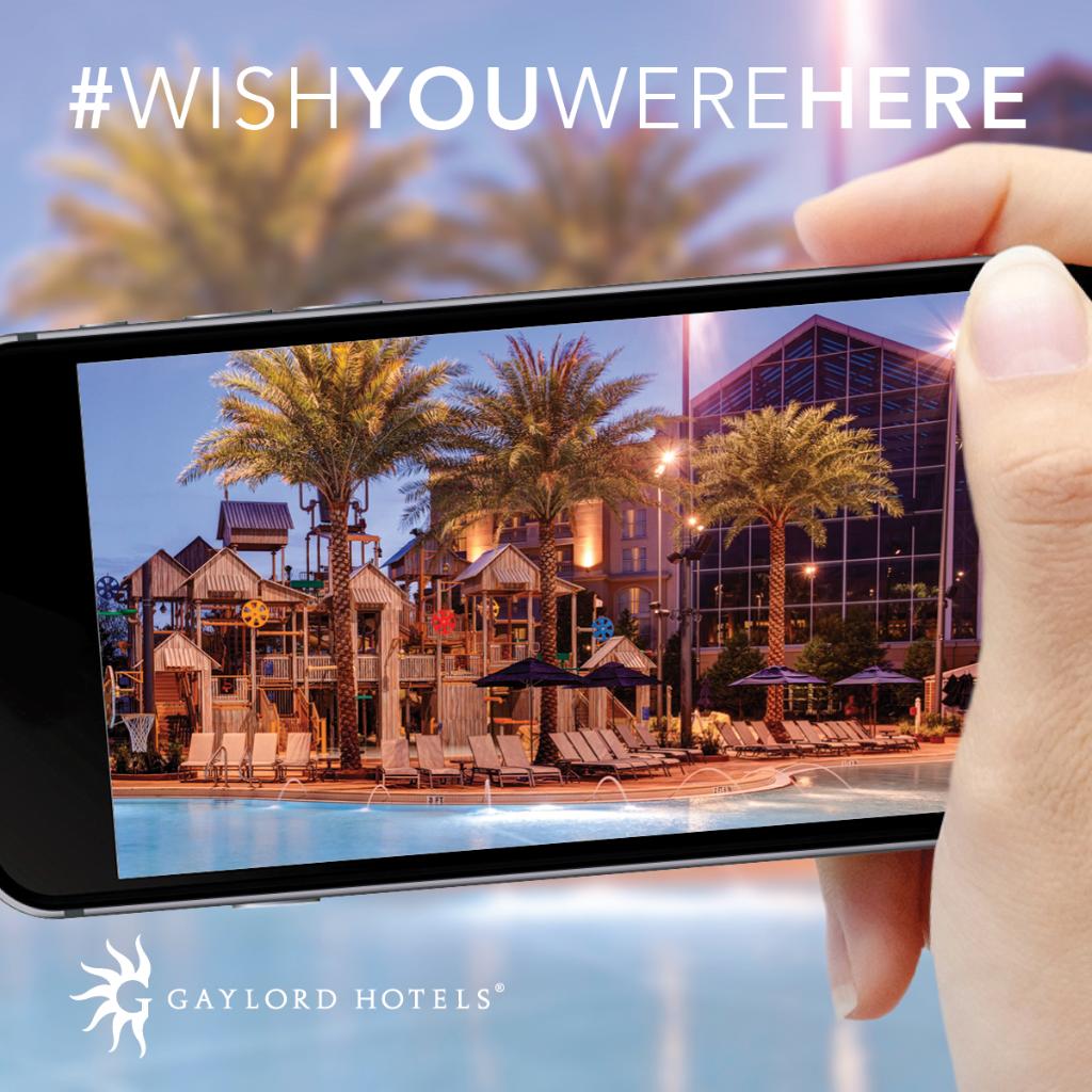 GaylordHotels's tweet photo. @GaylordPalms is giving you those Friday feels! https://t.co/fWjaSzm65J