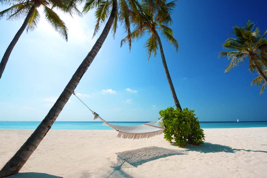 Estas son las #playas favoritas de los #turistas internacionales que visitan #México https://www.viajabonitomx.com/2017/07/playas-favoritas-turistas-mexico-viaja-bonito.html … #Tips #Viajes
