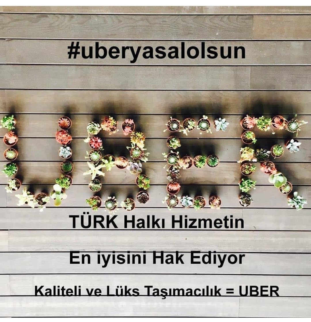 SAADET AK/TÜRKKIZI61🏆✌️🇵🇸❤️💙 MESCİD-İ AKSA (@insanolmak61) on Twitter photo 