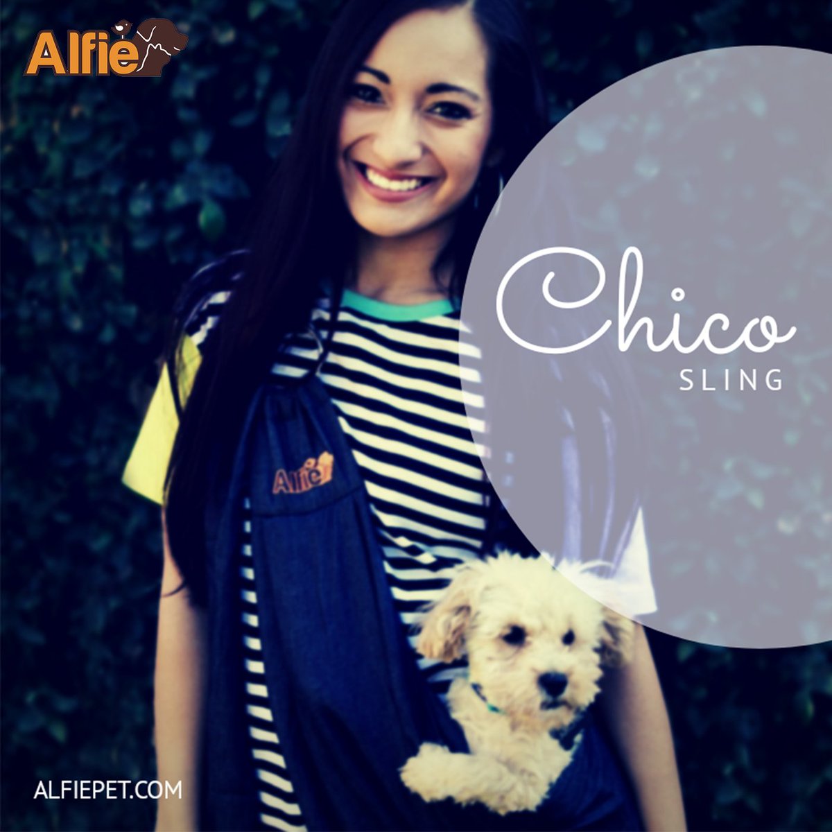 alfie_pet's tweet photo. Close To Your Heart while walking with your pet in our #chico #sling!
.
.
.
#style #teacup #dogsofintsagram #puppiesofinstagram #doglovers #dogfashion #puppymodel #dogmodel #chicosling #carrier #instadog #spoiled #alfiepet #dogsling https://t.co/VnW0htZlFP