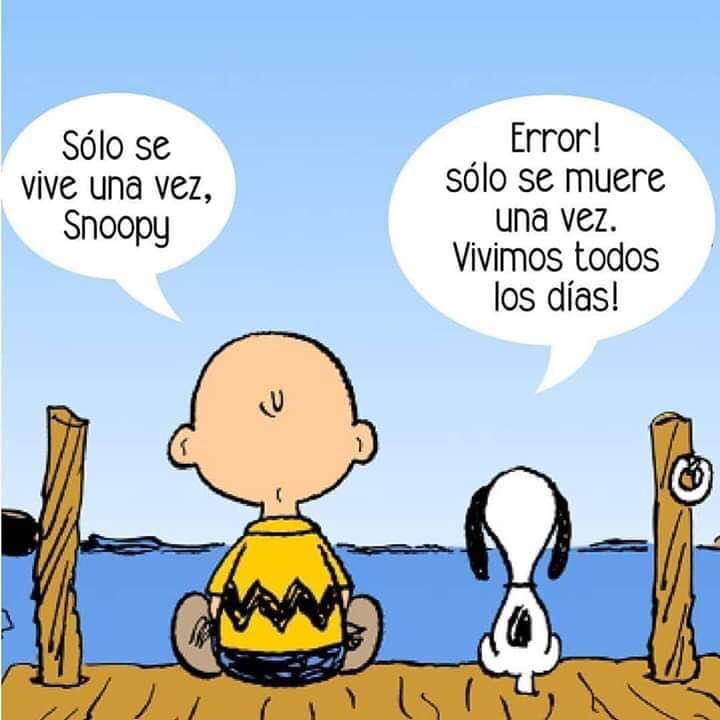 Inteligent_Ment's tweet photo. ¿Sabías que vives cada día y cada momento, aunque el modo automático haga que te olvides? Desconéctalo de vez en cuando, mira a tu alrededor y date cuenta de que tu vida, es ahora. No es luego, ni más tarde ni después, es ya. Recuerda, urge que la cojas y no la sueltes. https://t.co/B4rI6nvTpD