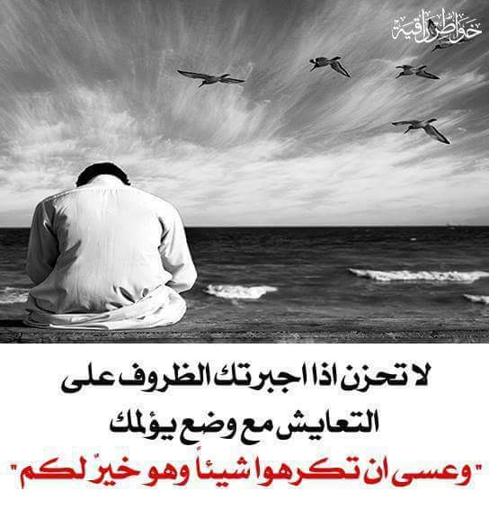 مرتضى السعيدي (@murtadamizher) on Twitter photo 