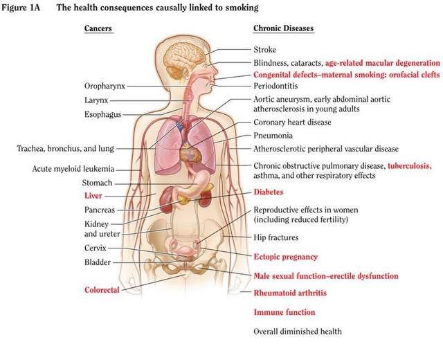 Wdekanter's tweet image. Als een president een oncoloog is: 
Uruguay gaat heel hard 
#plainpackaging 

ncdalliance.org/news-events/ne…