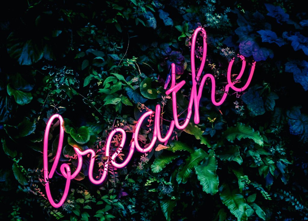 SocialPlatform_'s tweet photo. And breathe!..... It's #friday here's to making it through the week. 🙌

Hope you all have a fab weekend whatever you do! 💫 https://t.co/UiEoKLLJYj