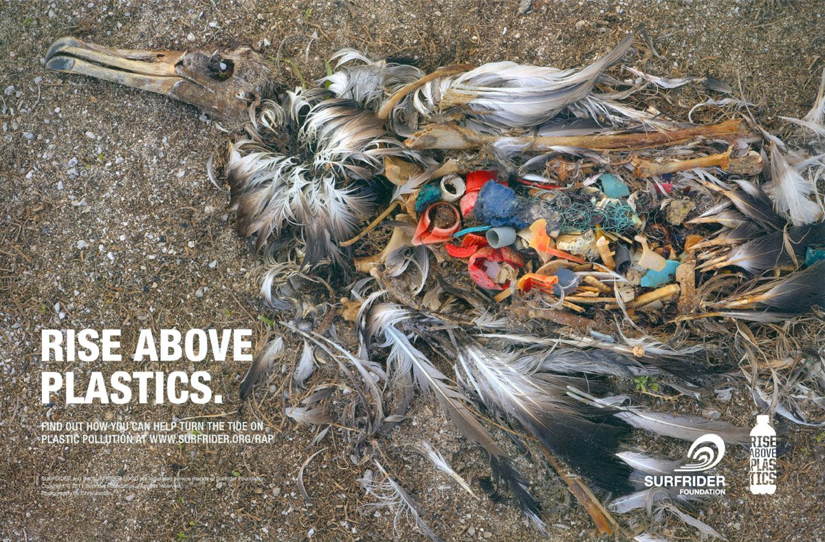 HSBSurfrider's tweet photo. @HSBSurfrider Rise Above Plastics!
Our mission is to reduce impacts of plastics in the marine #environment by raising awareness about the dangers of #plasticpollution &amp; advocating for a reduction of single-use plastics &amp; the recycling of all plastics.
https://t.co/iMQ2T5aGQ9 https://t.co/kkZZz21aIK