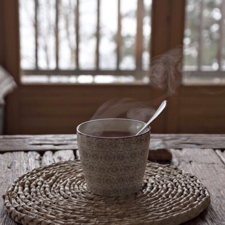 Cuppanut tweet media