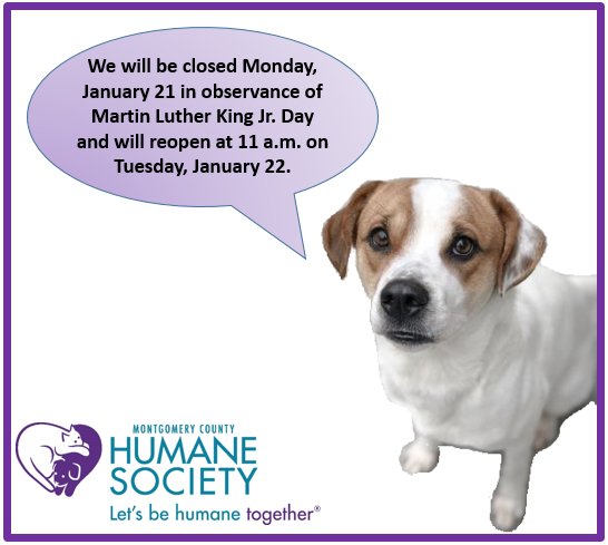 MoCoHumane photo