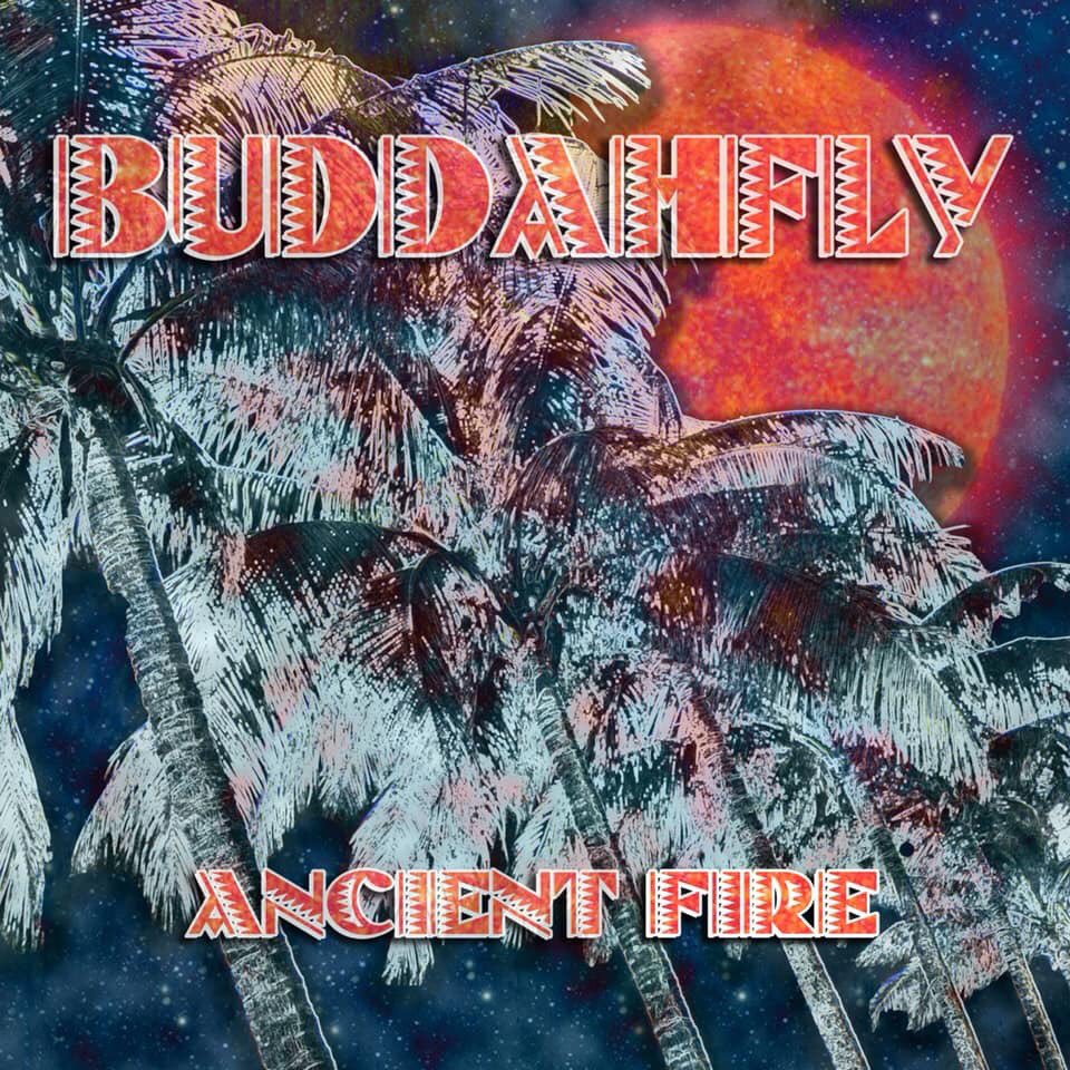 BuddahflyMusic (@buddahflymusic) on Twitter photo 