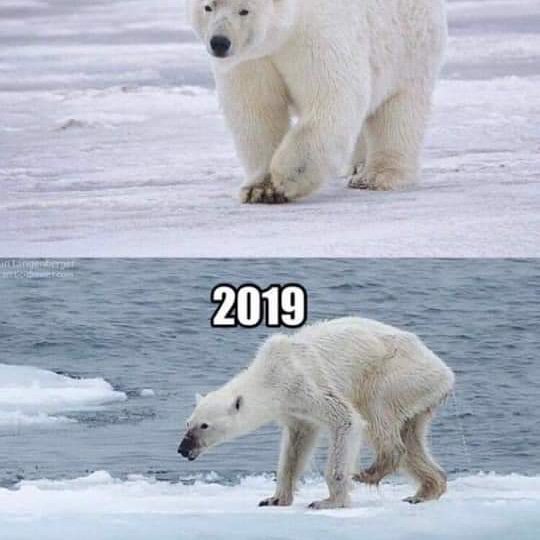 Jen_Jess91's tweet image. Et ce #10yearschallenge est beau?
#10YearChallenge