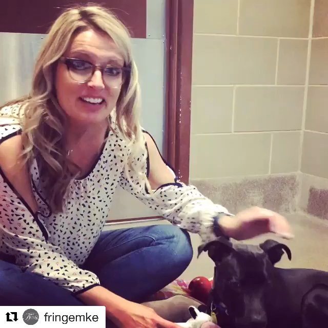WiscHumane's tweet photo. We’re so happy to update that little Hope found a loving home! ♥️ Thanks so much for visiting her and spreading the word, @fringemke! 
#Repost @fringemke with @get_repost
・・・
#hope #wisconsinhumanesociety  #getfringed #supporttheanimals https://t.co/6YgZ5LejAx https://t.co/lGyNXpCt29
