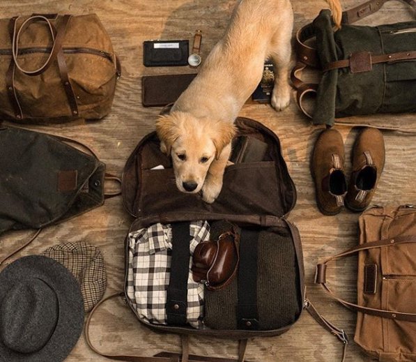 blundstone 562 boots