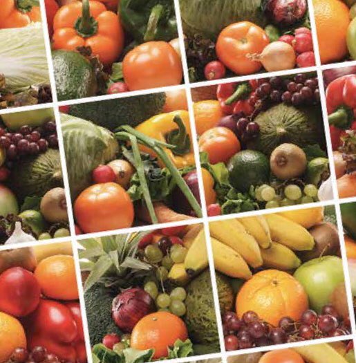 _Amanda_J_Lee_'s tweet image. Clear evidence underlies 4 equitable recommendations to deliver better health for both people and our planet:
1. Don’t eat more than your (energy) needs.
2. Don’t eat junk foods or drink sugary drinks.
3. Reduce food waste.
4. Choose more plant-based foods.