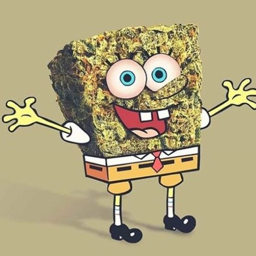 E o beck? (@maconheirofala) on Twitter photo 