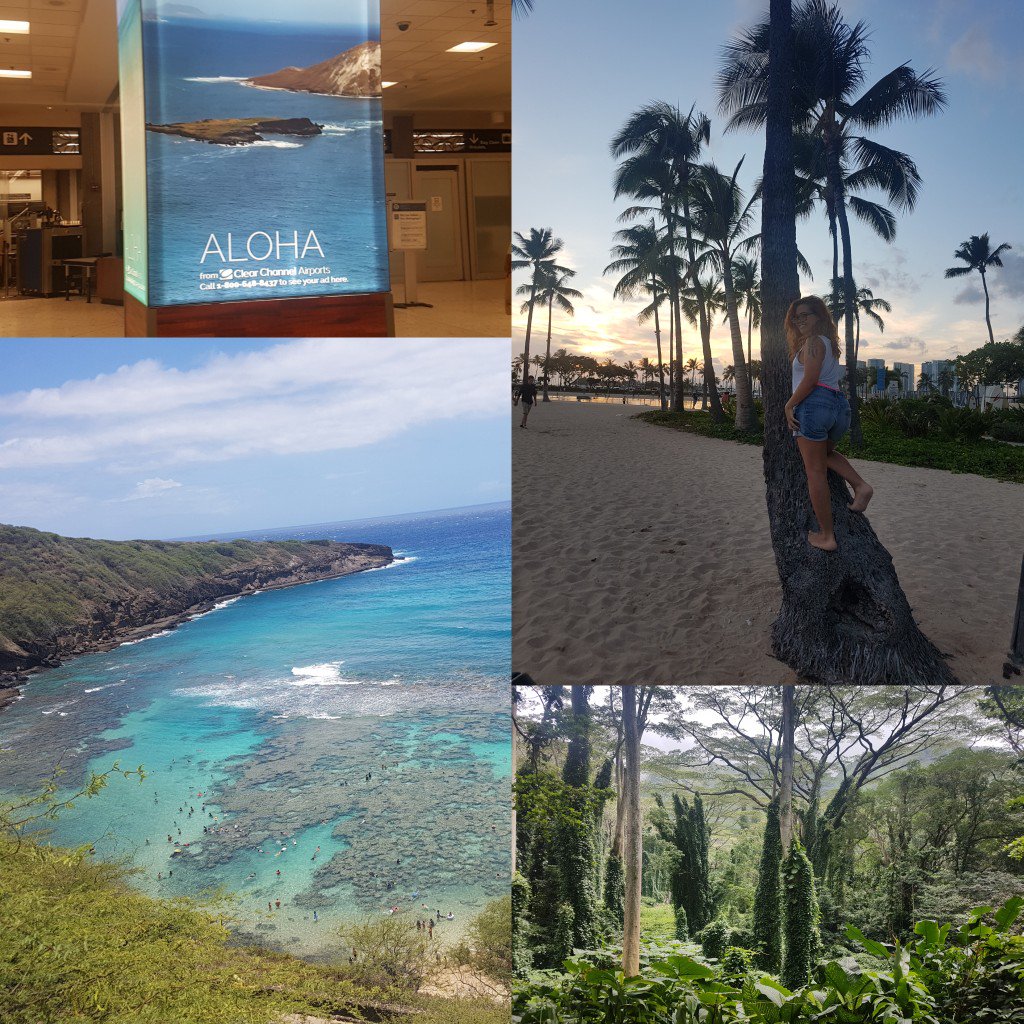 YrLittleThings's tweet image. "Fais de ta vie un rêve, et d'un rêve une réalité."

Enfant j'en ai rêvé 
En 2013 j'étais déterminé 
En 2018 j'ai réalisé

En 22 ans je n'ai jamais été aussi submergé d'émotions... ce voyage représente la joie, la tristesse, la fatigue, la solidarité et la paix.

Mahalo Hawaii