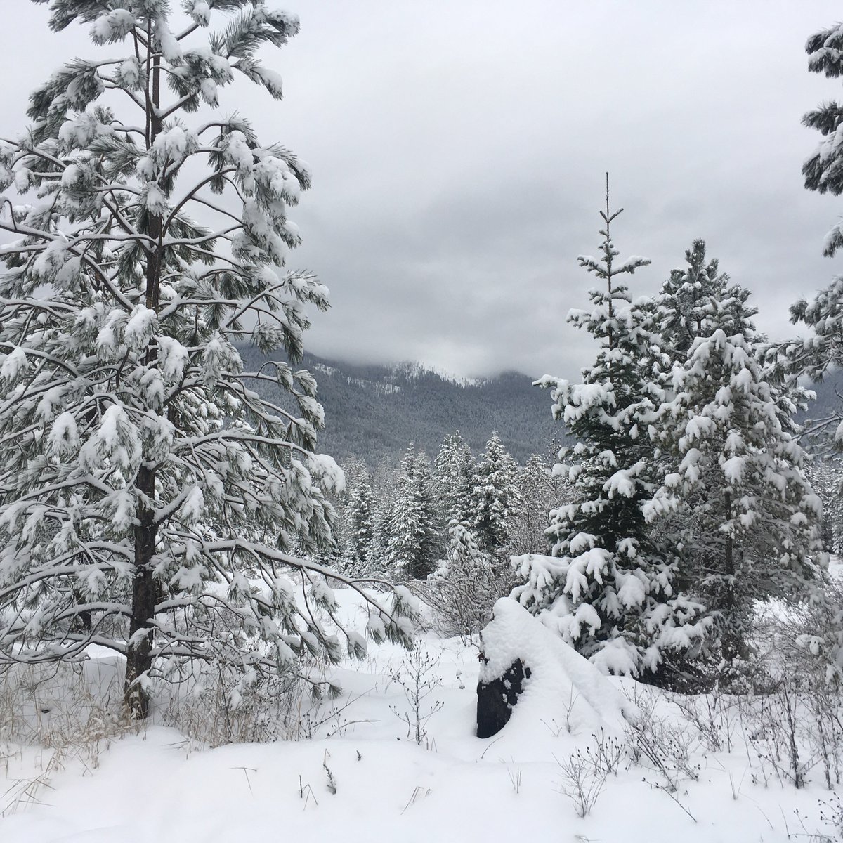 A beautiful morning of cross-country skiing after a day of heavy snow. #Enjoymontana #flathead #Montanasnow #Fun #Peaceful #VacationRentals #getaway