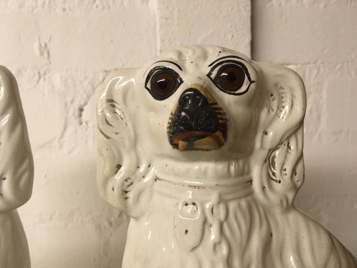 misterglasgow's tweet photo. @DugsThe    Love the Wally Dugs ....... https://t.co/hihtYtCYqi