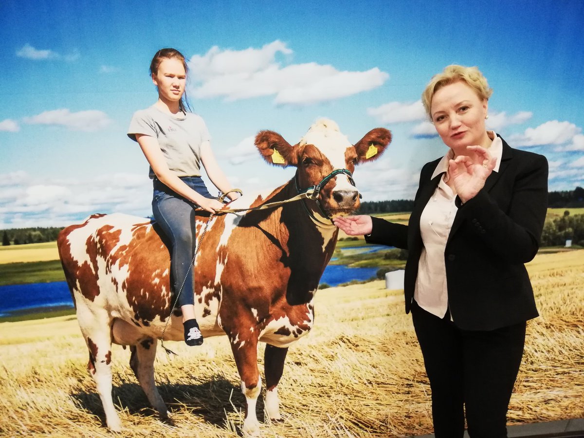 ElsiKatainen photo