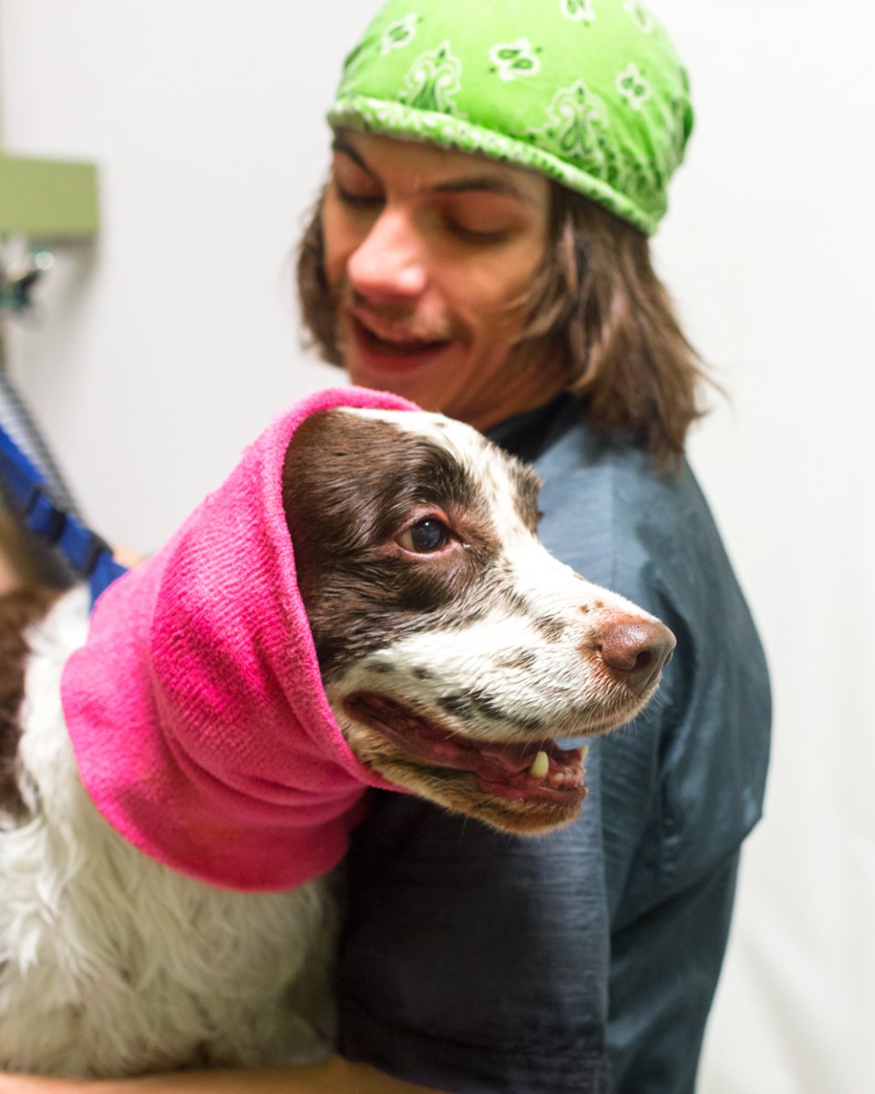 Nature's Pet Market (NaturesPetOR) Twitter