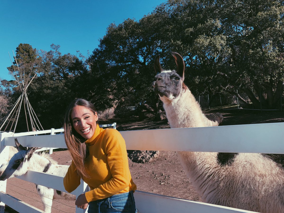 Daniellerobay's tweet photo. A day to remember with @nbcla •California Live• at @MalibuWines Safari...got to hang out with and feed lettuce to Barack O’lama, Justin Zebre, and the star of the show Stanley the giraffe ate lettuce out of my mouth 🤦‍♀️🦒 🥬 https://t.co/5m92obsWJR