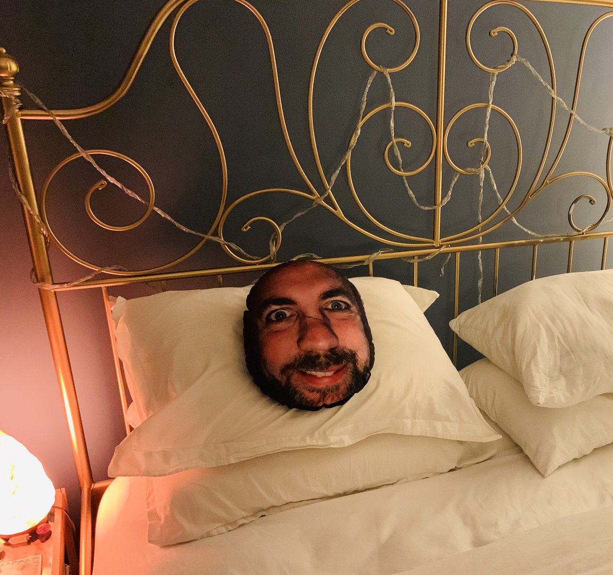 smythmr's tweet photo. Every time I walk into my bedroom I’m tickled/scared shitless by the absolute beaut of a Xmas present I gifted my wife this year #mymush #mushion https://t.co/ve4znWTdjb