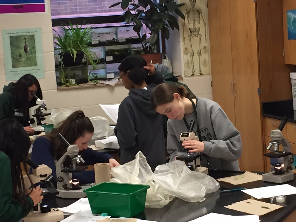sciolydan's tweet photo. Biology class exploring the distribution of stomata #biorules #whihiso @WHSOilers https://t.co/d5LFJmBjge