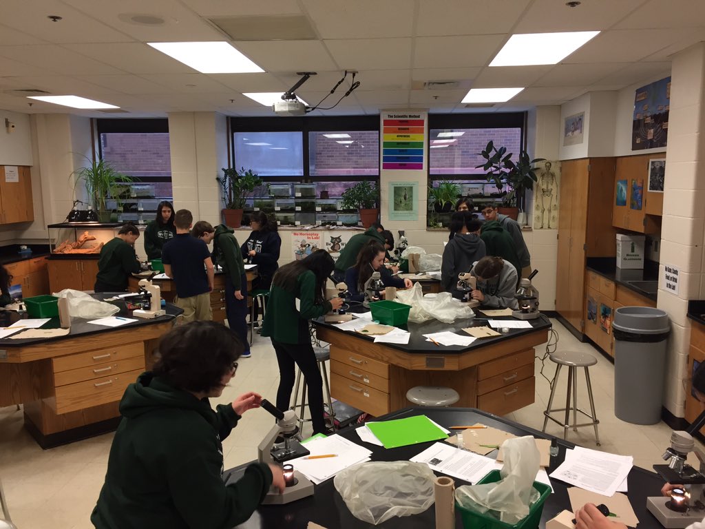sciolydan's tweet photo. Biology class exploring the distribution of stomata #biorules #whihiso @WHSOilers https://t.co/d5LFJmBjge