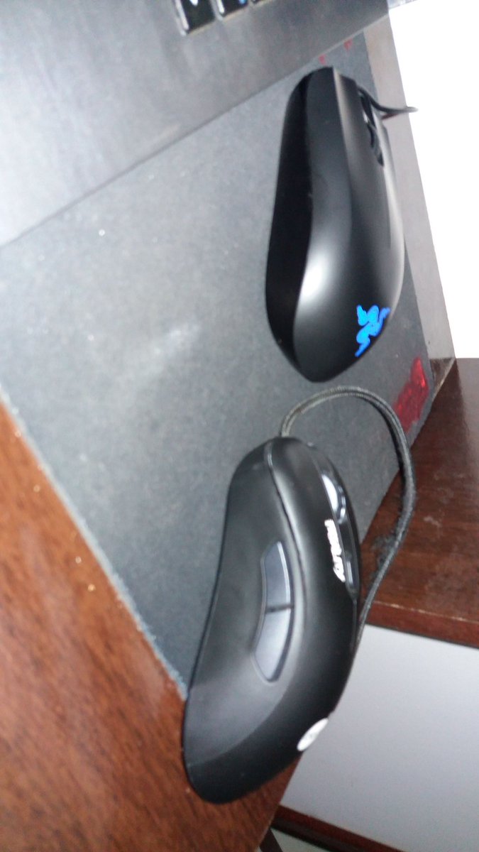 Ganhei meu primeiro mouse da razer...
Abyssus cyclosa (eu acho)
To mt feliz veeiiii