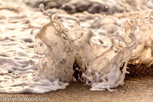 A little splash of the ocean.
.
.
.
.
.
.
#bestofsandiego #surfmagazine #sandiegophotos #sandiegolife #californialove #surfpics #surfersjournal #beachvibes #beachlife #surfing #surf #surfers #surfphotography #surfphotos #ig_color #canonusa #sandiego #ca… http://bit.ly/2MlloNQ