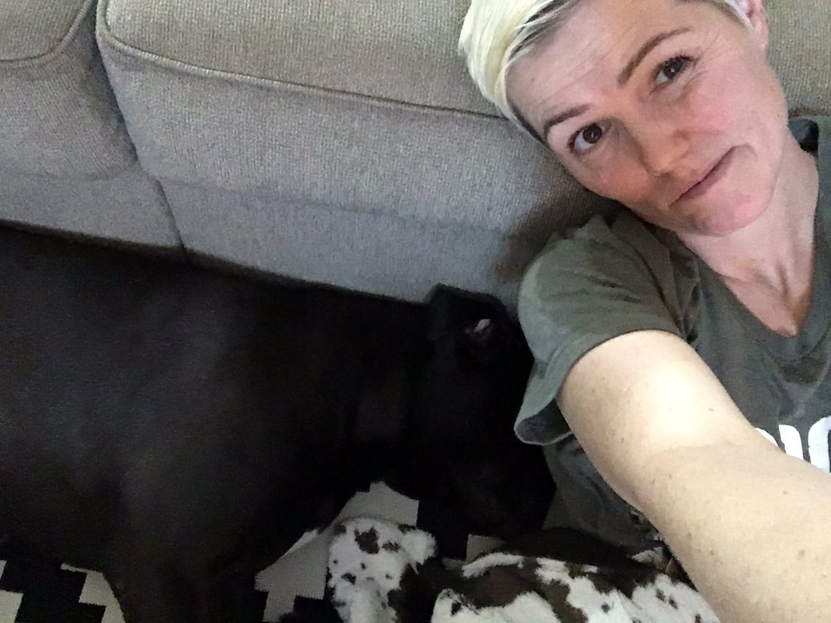 elisabethpf's tweet photo. When your emotional support dog has had the same week you just had. #supportdog #emotionalsupport #animalhelper #dogsrock #tired https://t.co/NTWuEqoRbF