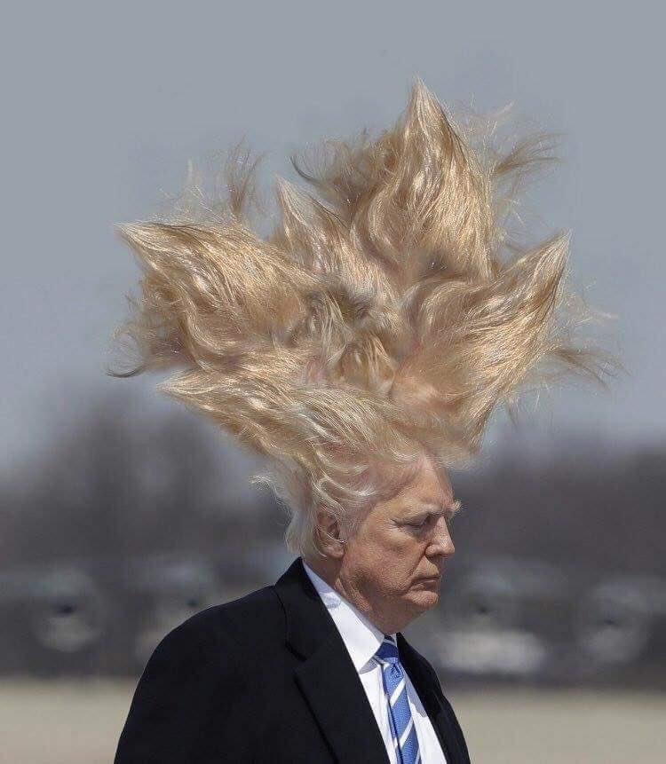 uo_duck99's tweet photo. Don With the Wind
#OverTheTopFilms https://t.co/E2eSeMVCKH