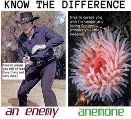 project_patrick's tweet image. 