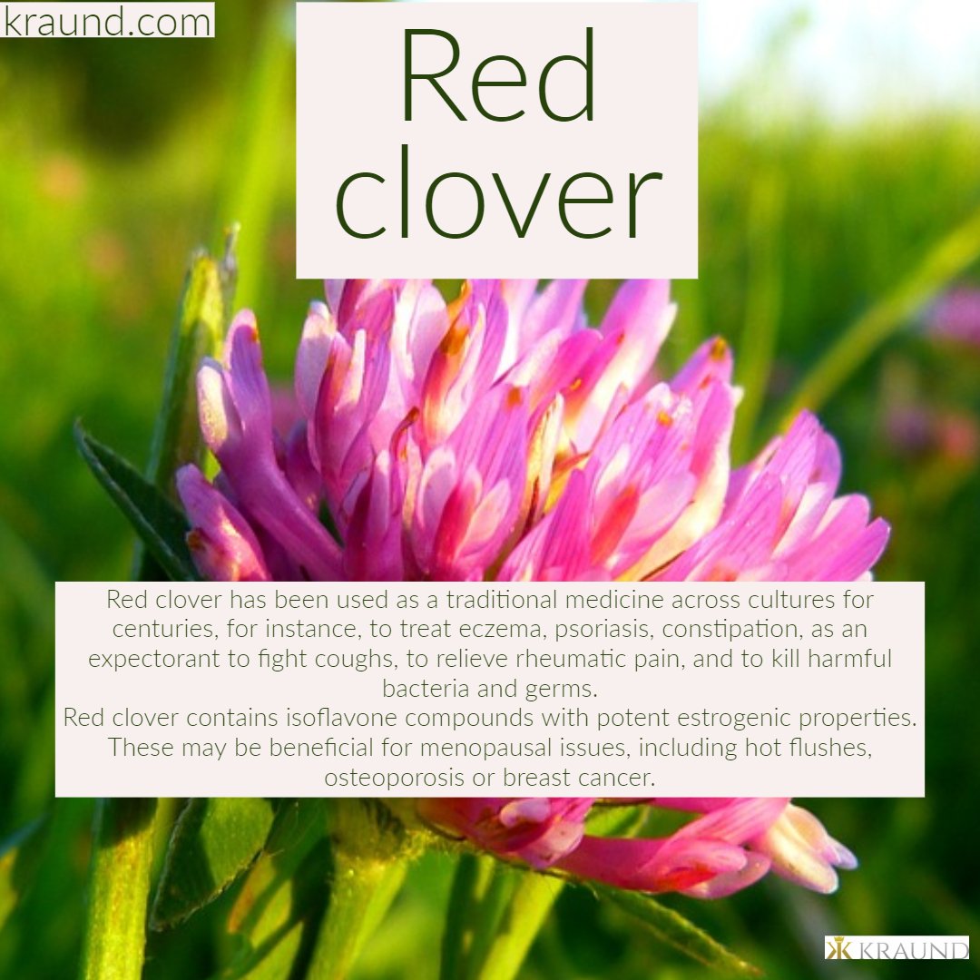 Red clover is a popular botanical supplement to help women during menopause. It is thought that red clover replaces estrogen naturally and helps with hot flashes and other menopausal symptoms.
Please always consult your healthcare provider before taking any herbs and supplements.
