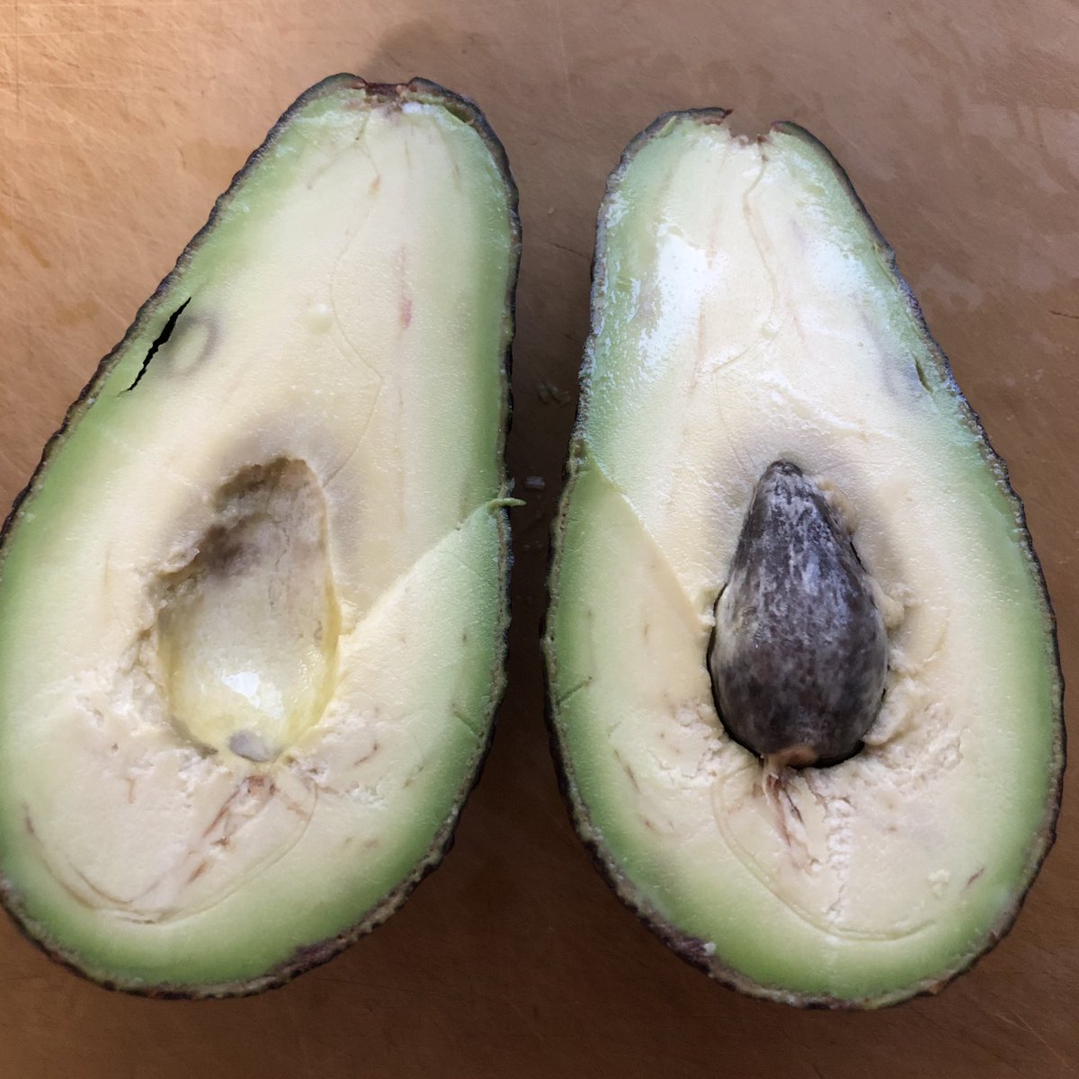 アボカド豆知識