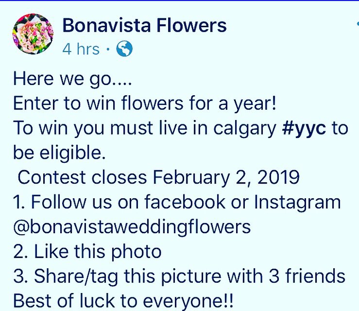 BonavistaFlowe1's tweet photo. #winmontlyflowersforayear#yyc#followusonfacebook&amp;instagram#tag3friends#share&amp;likeus#bringonspringearly💐 https://t.co/n4O7xoO937