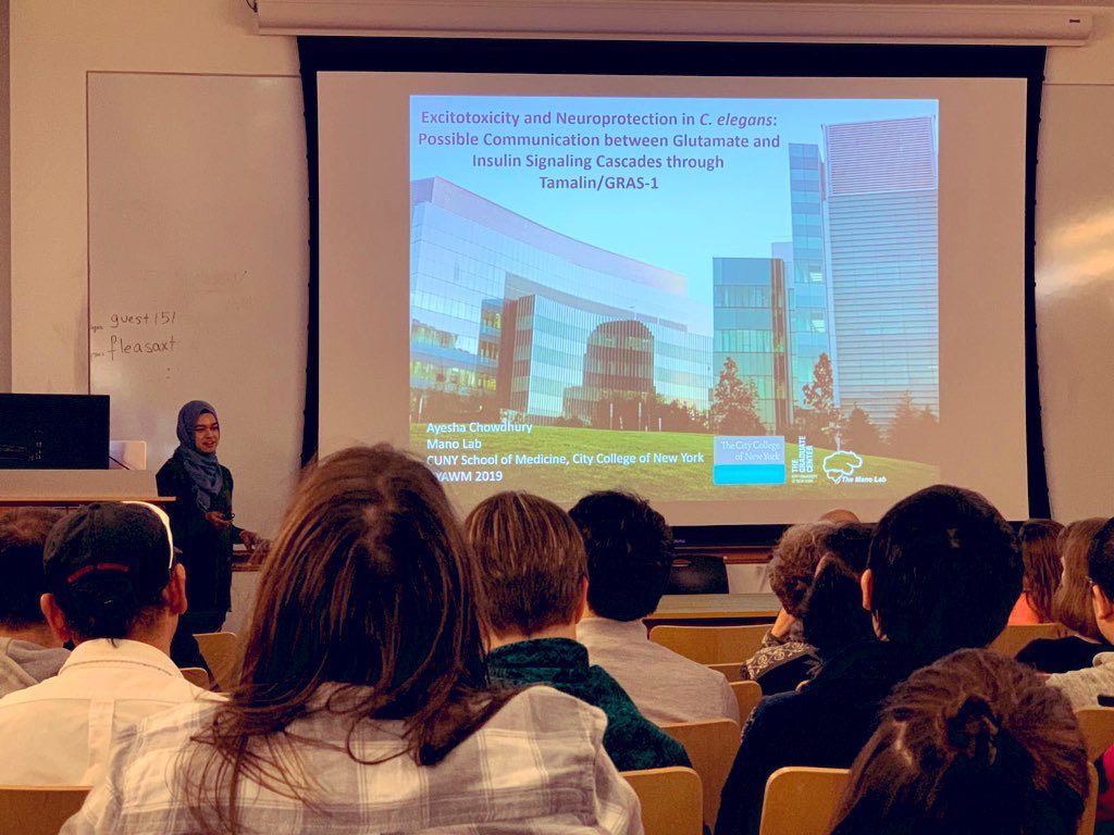 ManoLabNY's tweet photo. Amazing talk today at the #NYAWM2019 from Ayesha Chowdhury, a PhD candidate in our lab!!! @ayechy0 #celegans #StrokeLab #neuroscience https://t.co/xZ5FQxwKtG