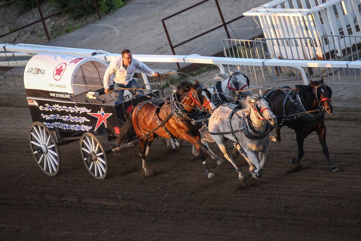 Calgary Stampede tweet media