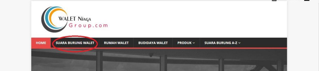suara cek lokasi walet mp3 download suara cek lokasi walet mp3 download