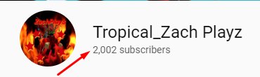 WE FINALLY HIT 2K! THIS IS ABSOLUTELY A DREAM COME TRUE!😮😁👏🤩