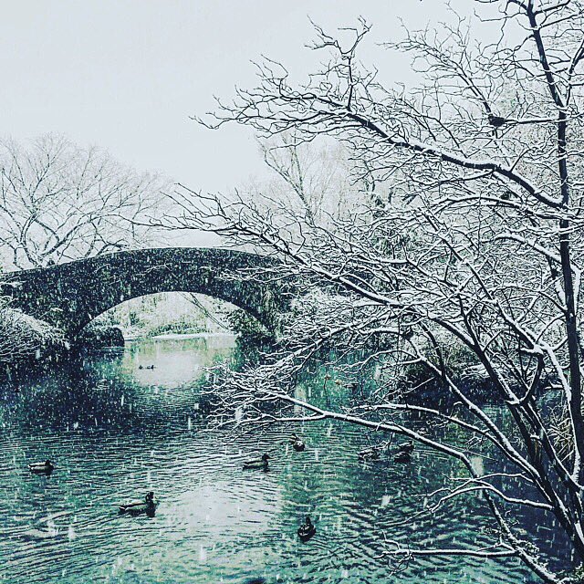 Michiko Kakutani (@michikokakutani) on Twitter photo 19/01/2019 02:04:30 Instagram: instagram.com/michi_kakutani/ Instagram: instagram.com/michi_kakutani/