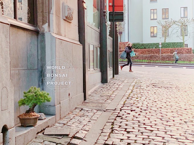 Twitterのコスプレ画像22