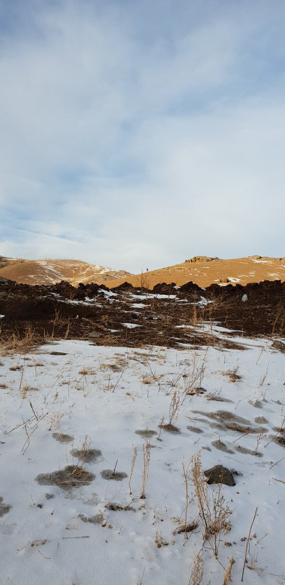 Өглөөний мэнд