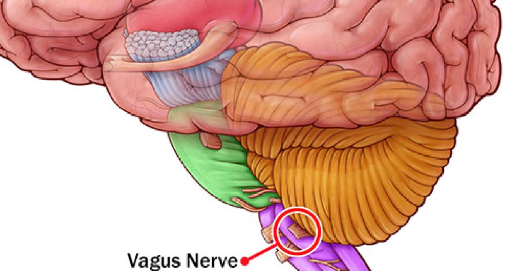WebMD's tweet photo. If your blood sugar is too high for too long, it can damage the vagus nerve, which helps move food through your stomach and intestines. https://t.co/dwtqGO4zDn https://t.co/cWJ71wuP9F