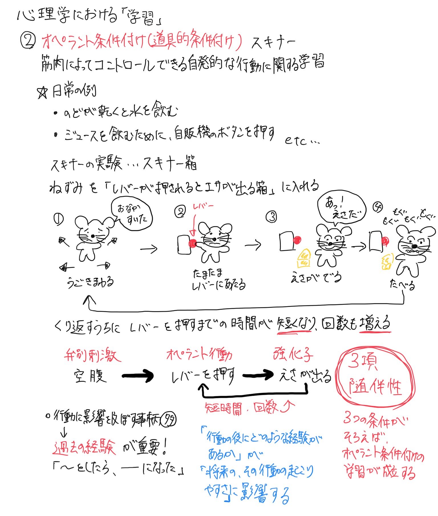 行動 オペラント オペラント行動課題