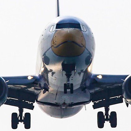 I really would like to be in this #brainstorming session when someone in a brilliant instant of #creativity said: “what if we make it look like a duck?” And they took him seriously.... #graphicdesign #airplanes #marketingstrategy | I think underneath tha… bit.ly/2ARuoWO