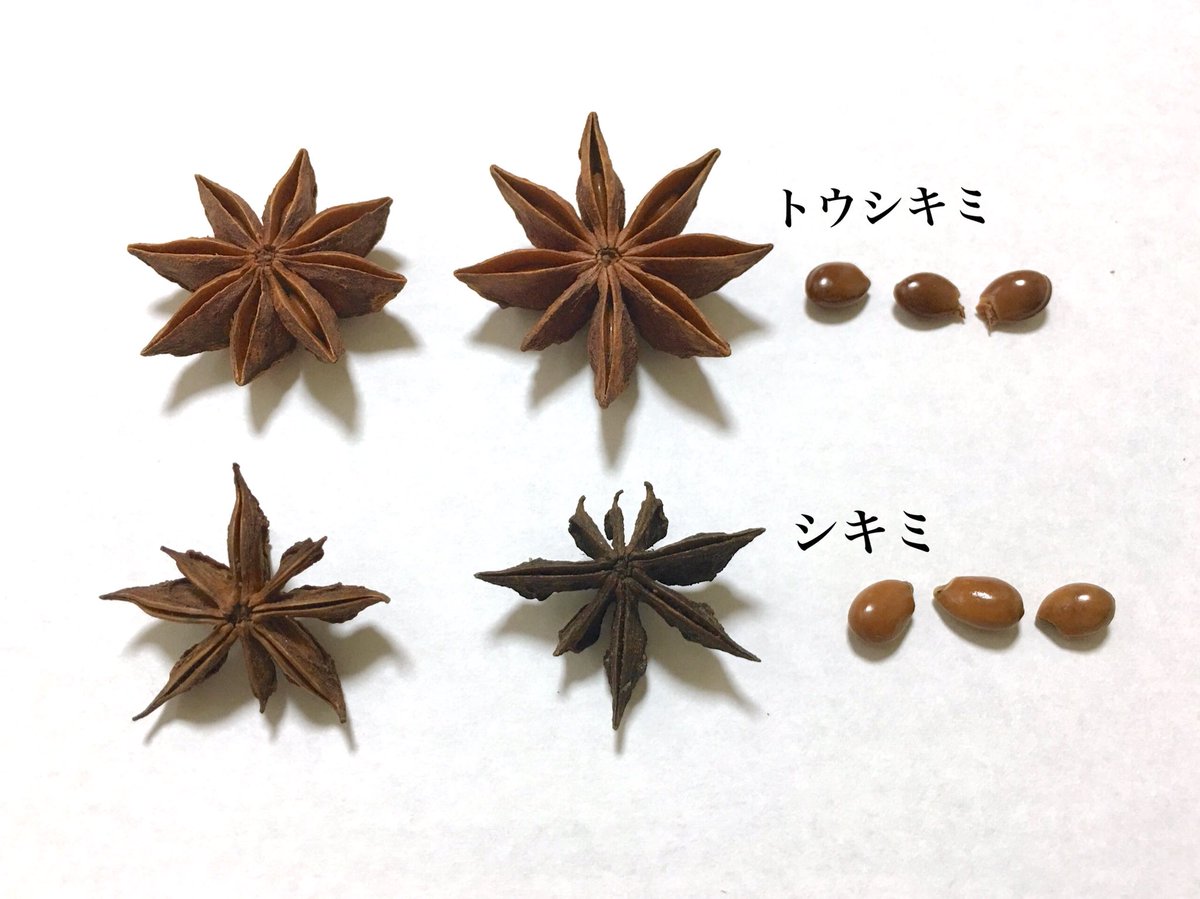 料理に使う八角そっくりの実を拾ったので調べてみたらじつは猛毒を持っている事が判明 これは怖い Togetter 料理に使う八角そっくりの実を拾ったので調べてみたらじつは猛毒を持っている事が判明 これは怖い Togetter