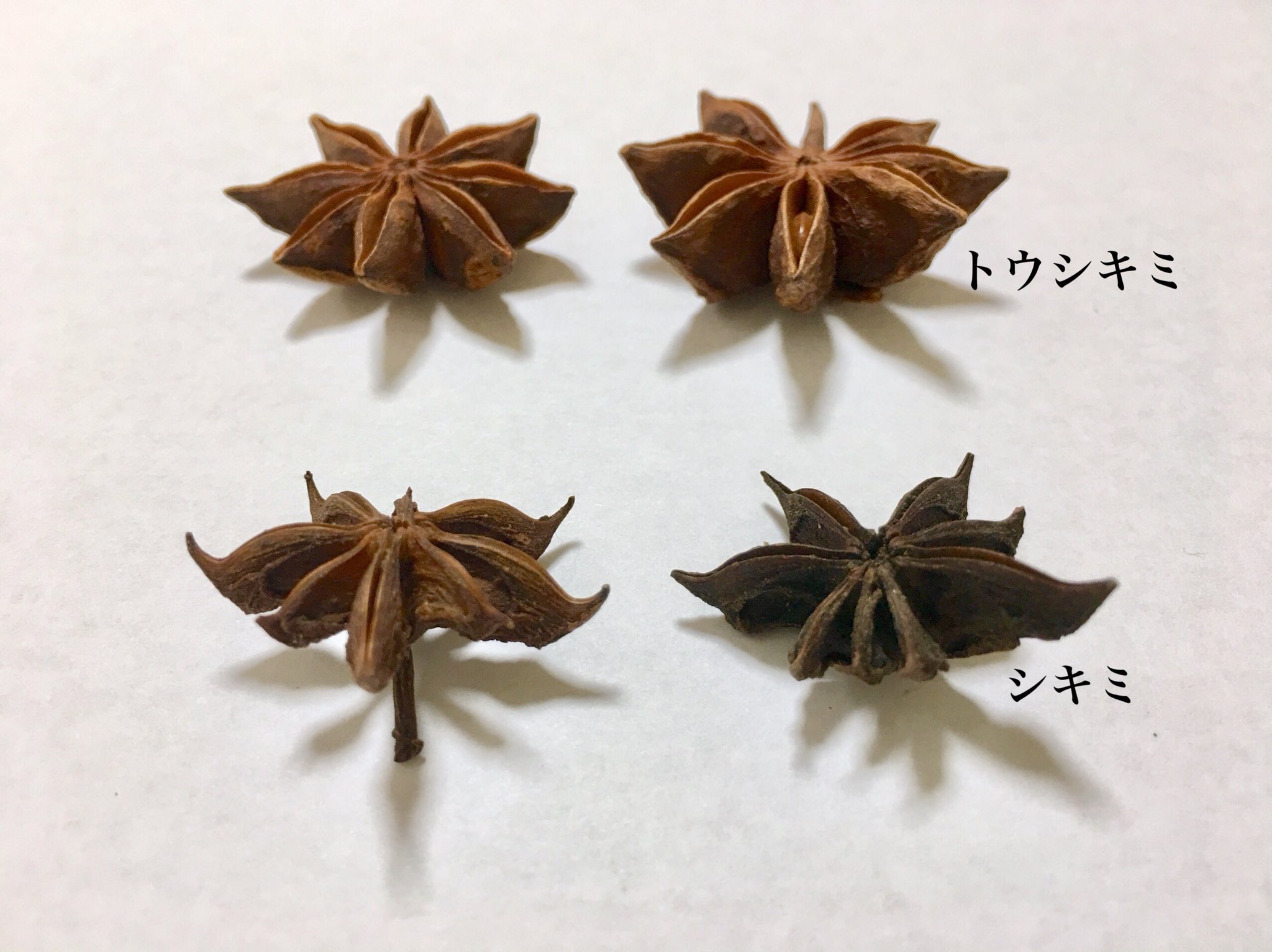 Inori 追記 シキミ 有毒 とトウシキミ 香辛料の八角 の違いです 確認したかったので八角を買ってきました 八片ある鞘の先端が鉤状になっていたらシキミです 植物では唯一毒物および劇物取り扱い法により劇物に指定されていますが 仏前に供えたり