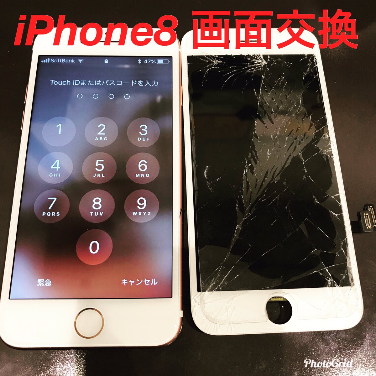 ibring_iphone's tweet photo. ☆1月キャンペーン中☆
営業時間:10時〜20時
ご予約承ります→072-983-5110
#ibring #アイフォン修理 #近鉄八尾 #リノアス八尾 #画面バキバキ #最短 #30分 #八尾 #東大阪 #柏原 #藤井寺 #羽曳野 #松原 #富田林 #データそのまま #安心 #営業中 #お待ちしております https://t.co/f3WDX3BxVD