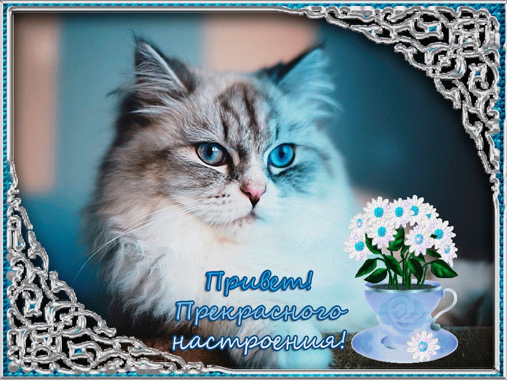 хорошего дня и настроения картинки мерцающие черта