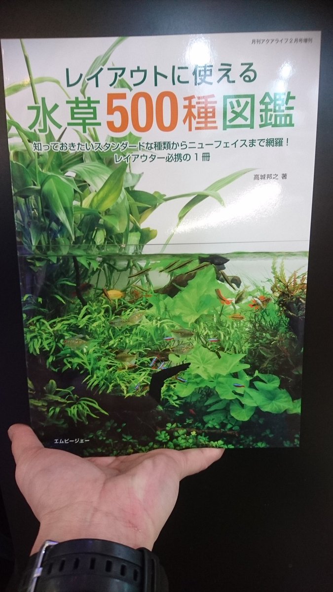 アクアテイラーズ森之宮店 皆様こんにちは 大人気の書籍が入荷致しました お探しの方は是非ご来店頂きご購入下さい アクアテイラーズ森ノ宮店 アクアライフ